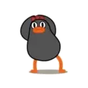 POLLO NEGRO mov. 5