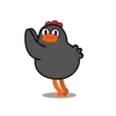 POLLO NEGRO mov. 11