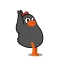 POLLO NEGRO mov. 19
