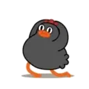 POLLO NEGRO mov. 10