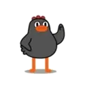 POLLO NEGRO mov. 3