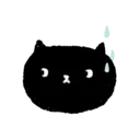 Sassy Black Cat 14
