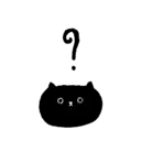 Sassy Black Cat 20