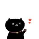 Sassy Black Cat 23