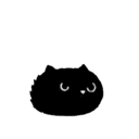 Sassy Black Cat 5
