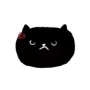 Sassy Black Cat 15
