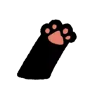 Sassy Black Cat 21