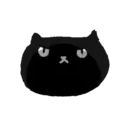 Sassy Black Cat 10
