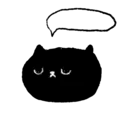 Sassy Black Cat 3