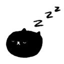 Sassy Black Cat 7