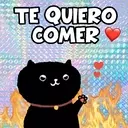 Sassy Black Cat 27