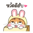 soidow beauty catMOV 20