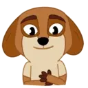 SOREN DOG 16