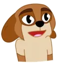 SOREN DOG 14