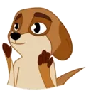 SOREN DOG 6