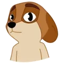 SOREN DOG 12