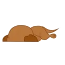 SOREN DOG 1