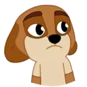 SOREN DOG 7