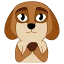 SOREN DOG 10