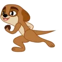 SOREN DOG 15