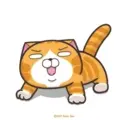 Test 3