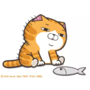 Test 1