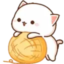 MOCHICAT#3 MOV 24