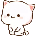 MOCHICAT#3 MOV 16