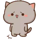 MOCHICAT#3 MOV 9