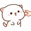 MOCHICAT#4 MOV 17