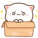 MOCHICAT#4 MOV 15