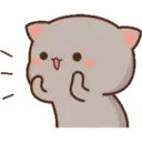 MOCHICAT#5 MOV 15