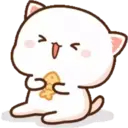 MOCHICAT#5 MOV 12