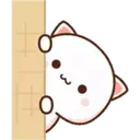 MOCHICAT#7 MOV 20