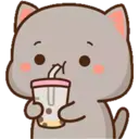 MOCHICAT#7 MOV 17
