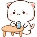 MOCHICAT#9 MOV 20