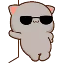 MOCHICAT#9 MOV 5
