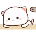MOCHICAT#9 MOV 13