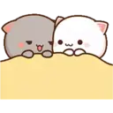 MOCHICAT#10 MOV 19