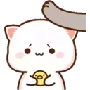MOCHICAT#10 MOV 22