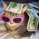 SA AMERIONY
THEA
DERKATES
www
IND