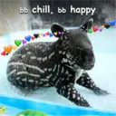 bb-stickers 10