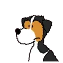 Dogs animated 15