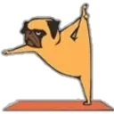Yoga Pug 12