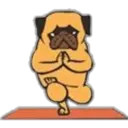 Yoga Pug 2