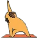 Yoga Pug 10