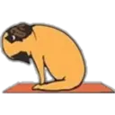 Yoga Pug 15