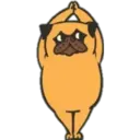 Yoga Pug 7