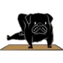 Yoga Pug 5