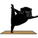 Yoga Pug 16